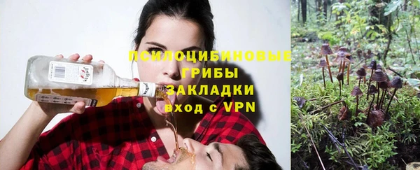 бошки Медвежьегорск